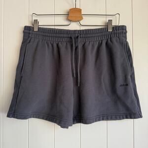 Aritzia Gray Women's Shorts